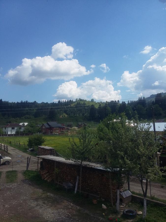Zatushok Pid Goroyu Villa Verkhovyna Buitenkant foto
